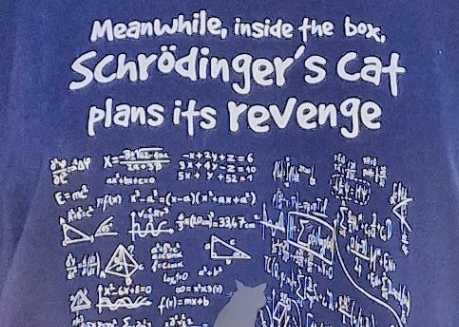 Shrodinger's Cat